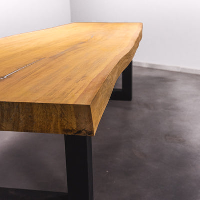 Baumscheiben Esstisch Bilinga  - 300 x 90 x 7 cm