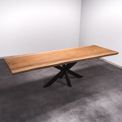 Baumscheiben Esstisch Sipo  - 310 x 105 x 7 cm