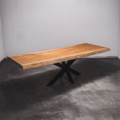 Baumscheiben Esstisch Sipo  - 300 x 105 x 7 cm