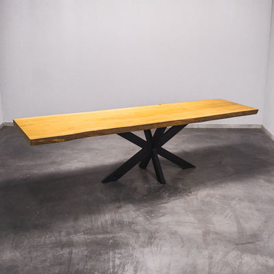 Baumscheiben Esstisch Bilinga  - 300 x 95 x 7 cm