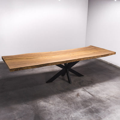 Baumscheiben Esstisch Sapelli - 380 x 95 x 7 cm