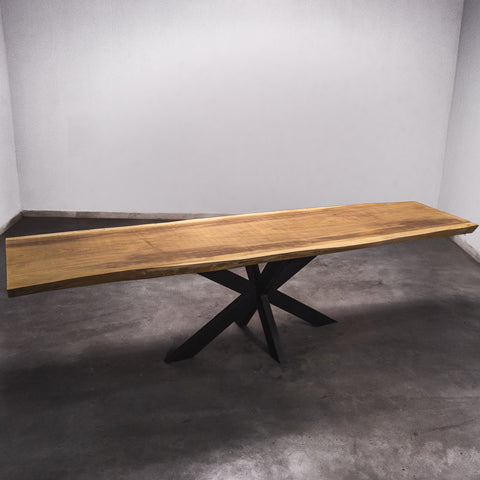 Baumscheiben Esstisch Iroko - 300 x 80 x 7 cm