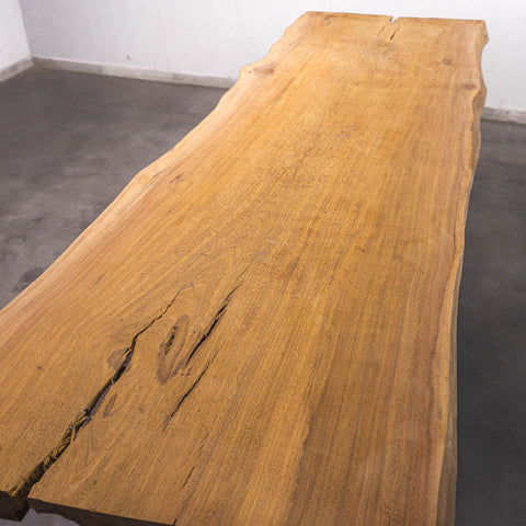 Baumscheiben Esstisch Iroko - 280 x 85 x 7 cm