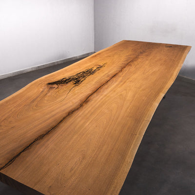 Baumscheiben Esstisch Sipo  - 350 x 110 x 7 cm