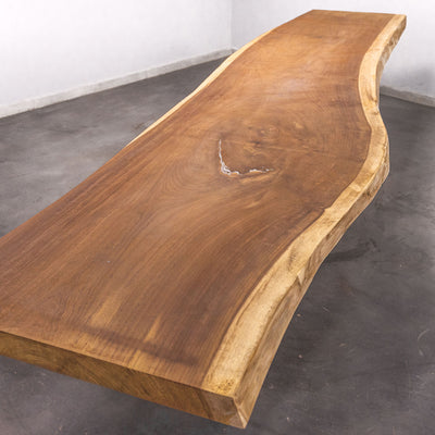 Baumscheiben Esstisch Iroko - 370 x 70 x 7 cm