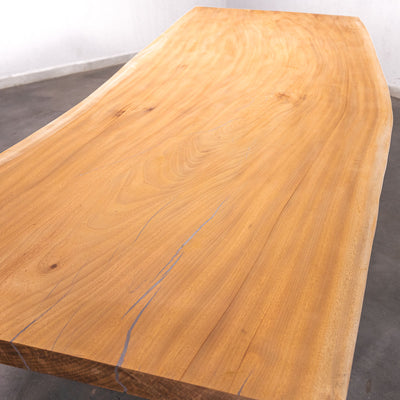 Baumscheiben Esstisch Sipo  - 300 x 115 x 7 cm