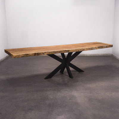 Baumscheiben Esstisch Iroko - 300 x 85 x 7 cm