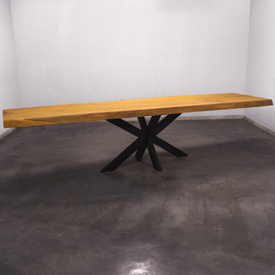 Baumscheiben Esstisch Bilinga  - 335 x 90 x 7 cm