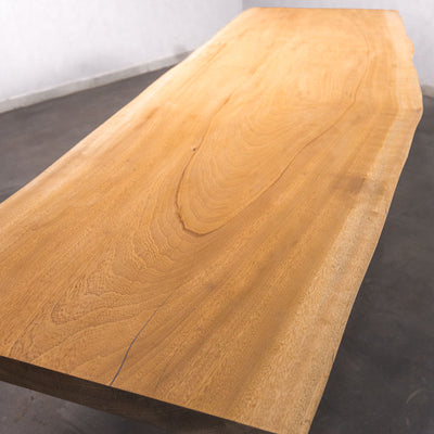 Baumscheiben Esstisch Sipo  - 290 x 95 x 7 cm