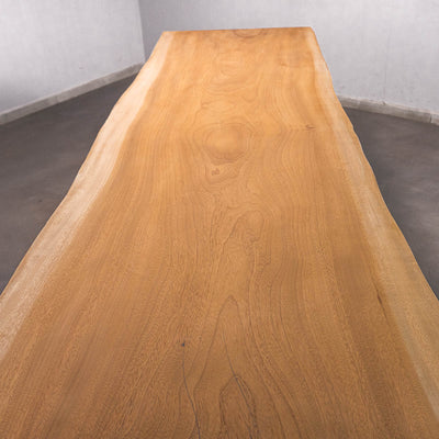 Baumscheiben Esstisch Sipo  - 310 x 100 x 7 cm