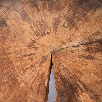 Baumscheiben Esstisch Pappel - ca. ⌀ 137cm